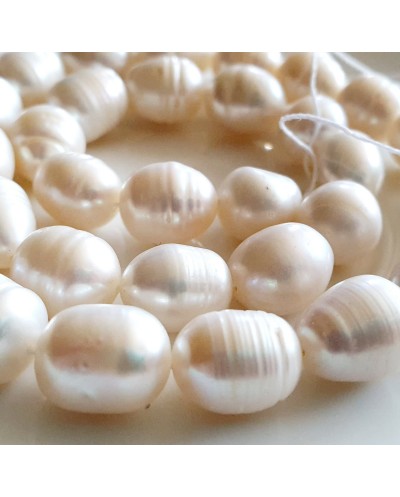 Perlai gėlavandeniai baltos sp., 10-11mm, 1 vnt.